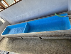 20240918-135312.jpg